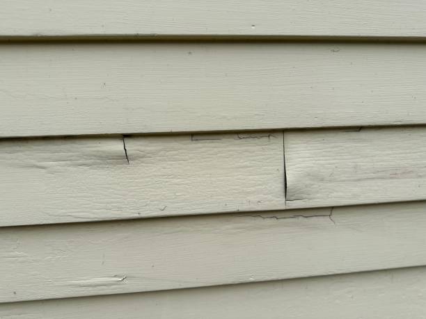 Best Shed Removal  in White Plains, NY